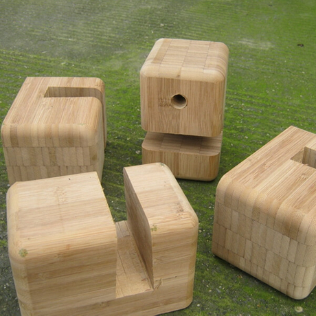 الخيزران العملاق.jpg