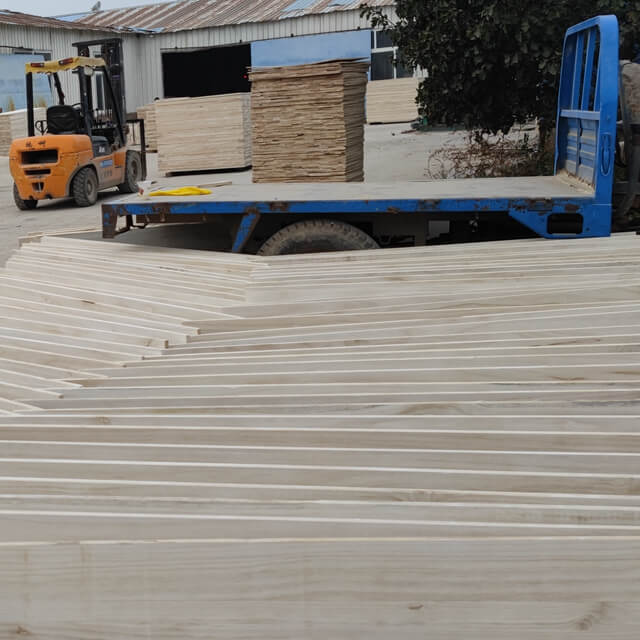 Pannelli e legname in legno di Paulownia