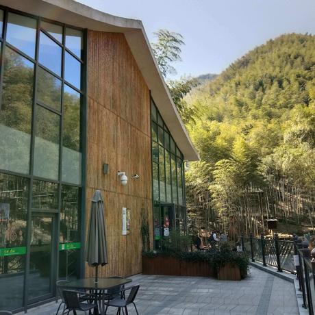 شرائح الخيزران للجدار الخارجي.jpg