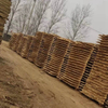 Pannelli e legname in legno di Paulownia