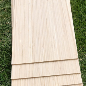Impiallacciatura di skateboard in bambù 